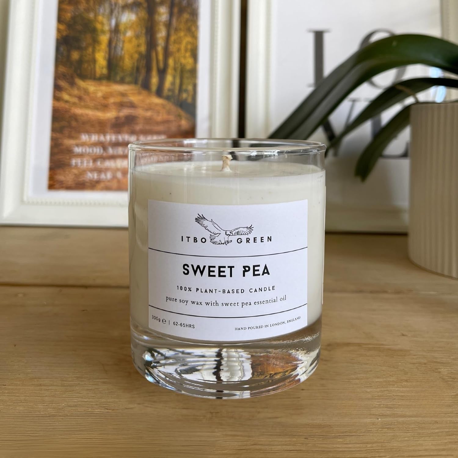 380G / 13 Ounce Sweet Pea Essential Oil Soy Wax Candle | 100% Plantbased | Aromatherapy | 33 Scent Options