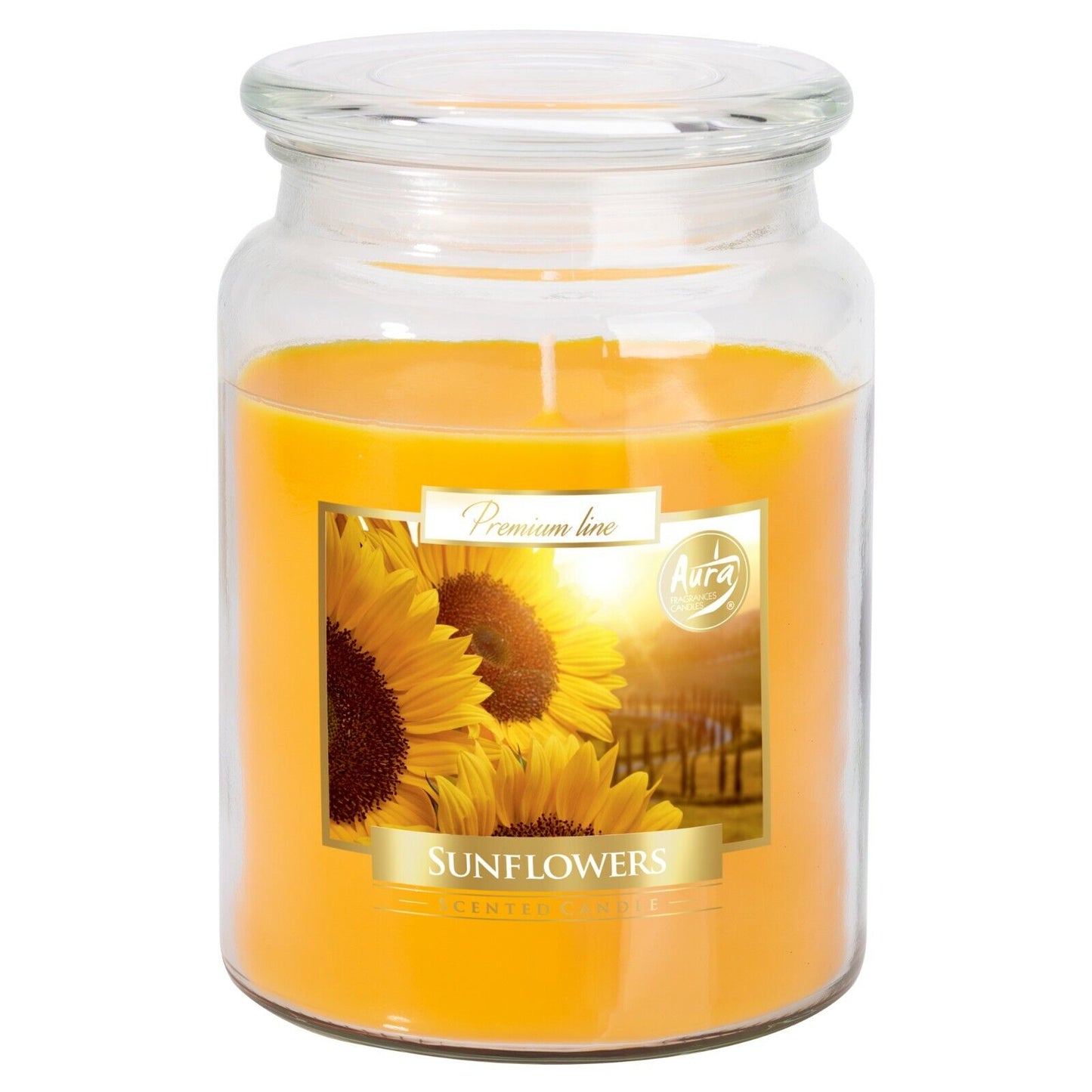 100Hr Premium 18Oz Scented Candle Large Glass Jar Aromatic Fragrance Home Gift