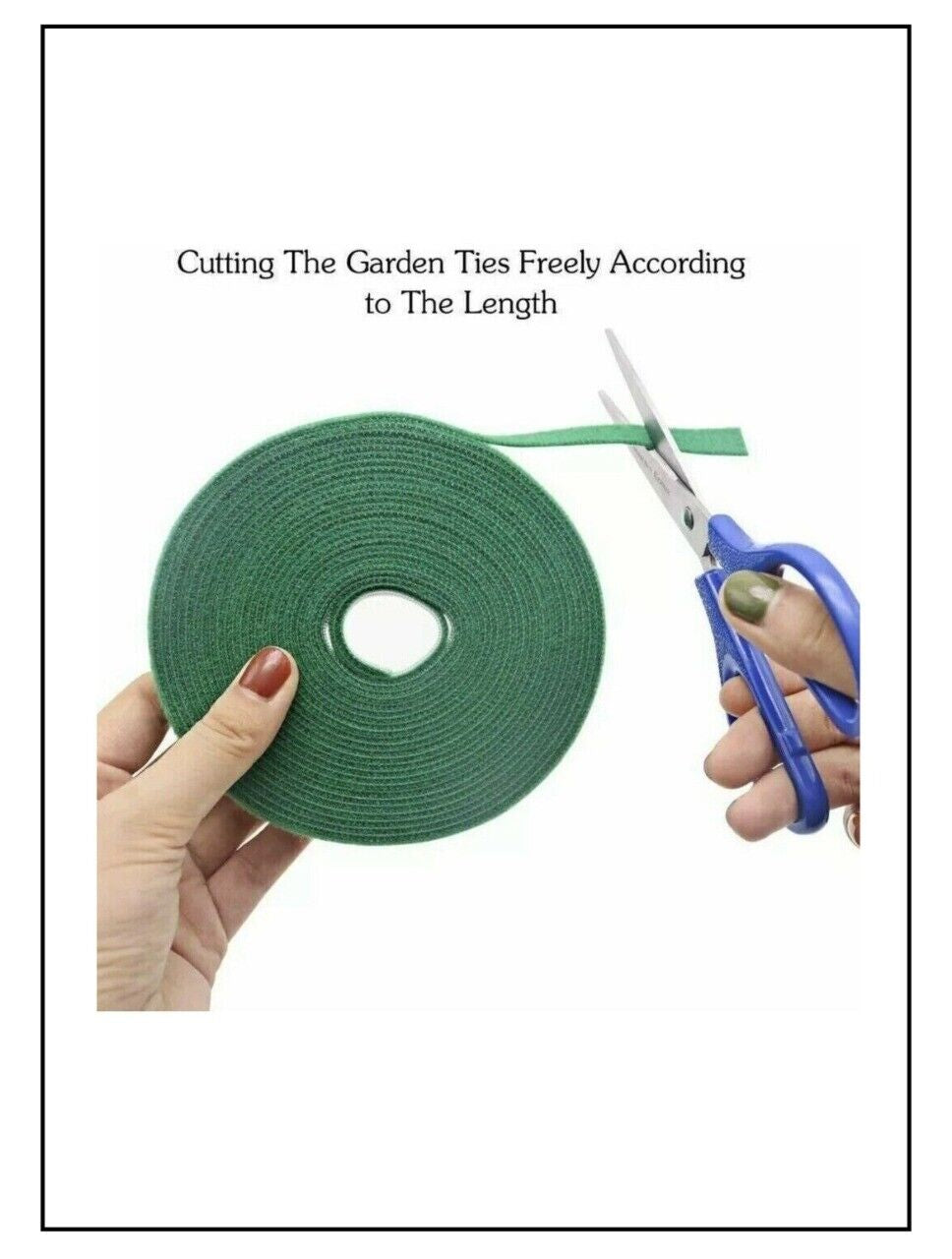 Hook and Loop Plant Tie Tape Ideal Way for Allowing Plants to Grow (Pack of 3)